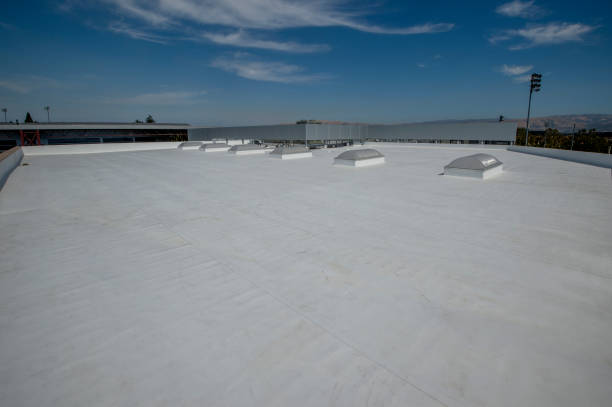 Best 4 Ply Roofing  in Buellton, CA